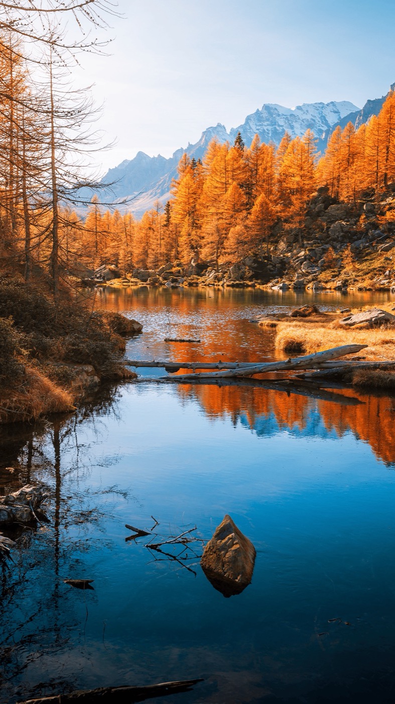 Nature shared on Zozland